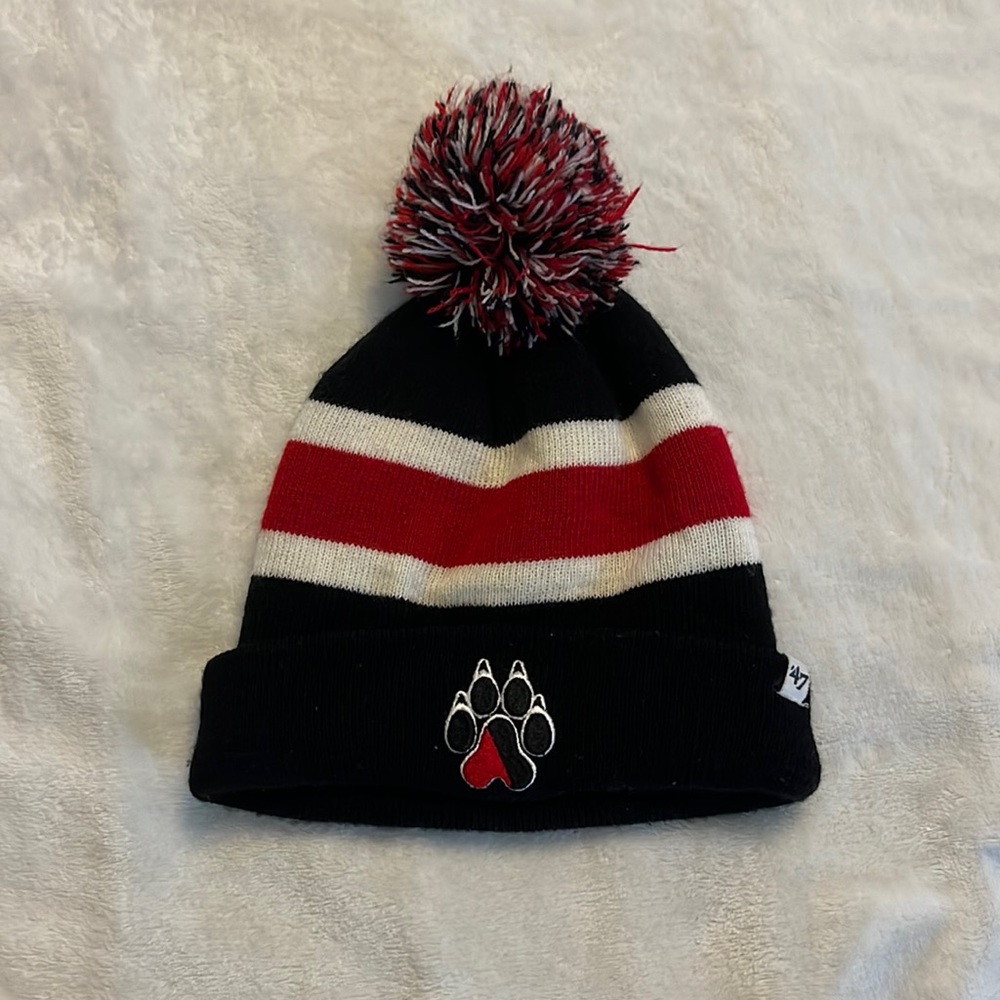 Northeastern University Winter Hat